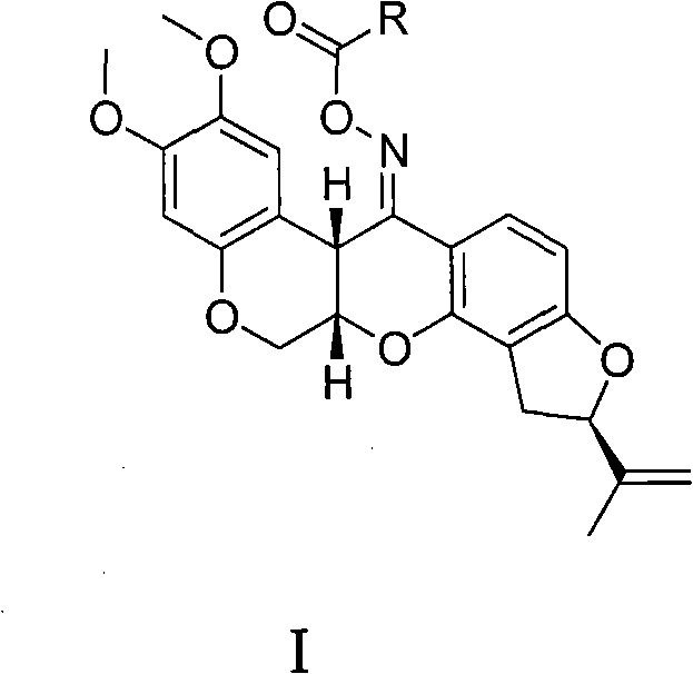 Carboxylic acid rotenonoxime ester, method for preparing same and applications