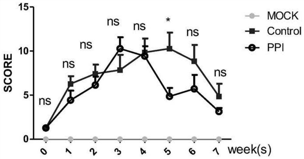 A small molecular compound for treating rheumatoid arthritis and its use