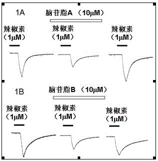 Application of cerebroside compounds in the preparation of analgesic drugs