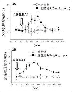 Application of cerebroside compounds in the preparation of analgesic drugs