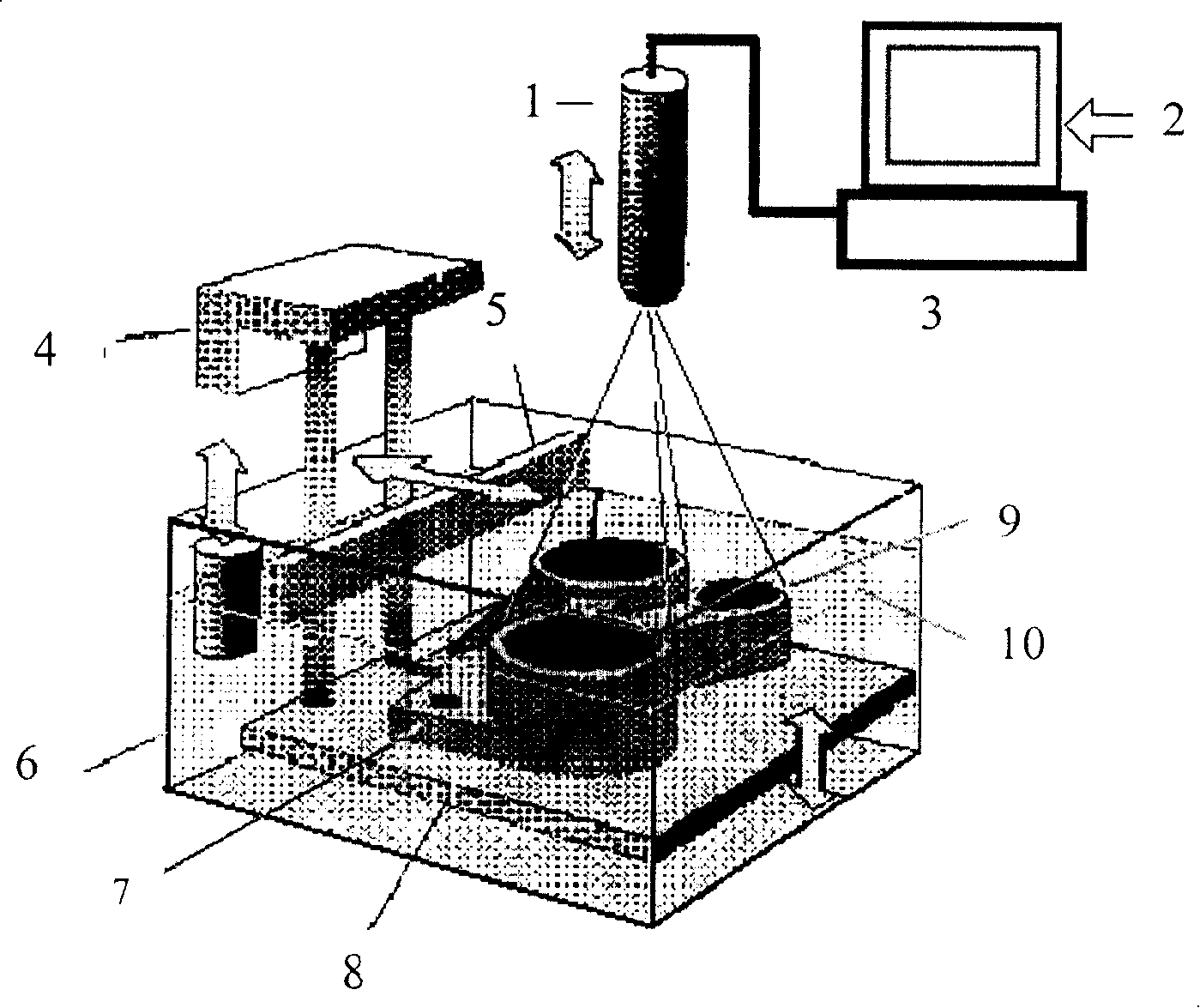 Quick forming method by adoption of projection technique