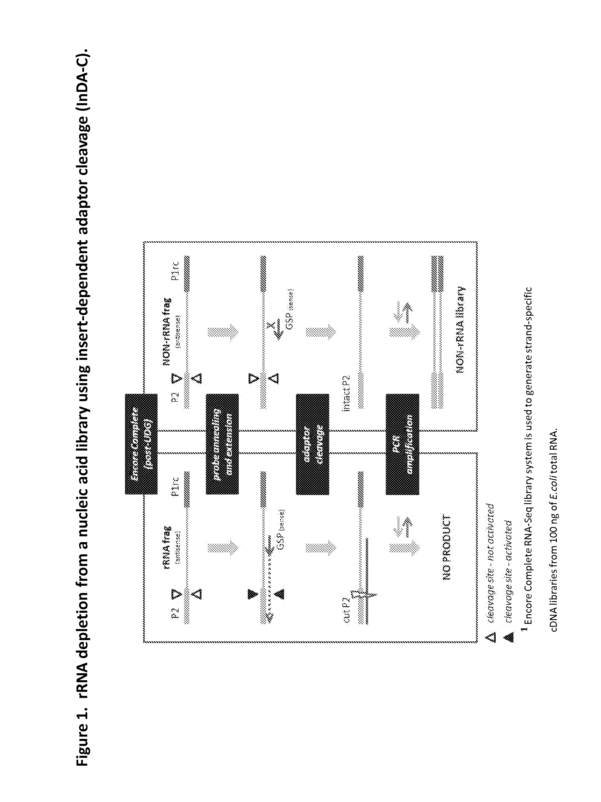 Compositions and methods for negative selection of non-desired nucleic acid sequences