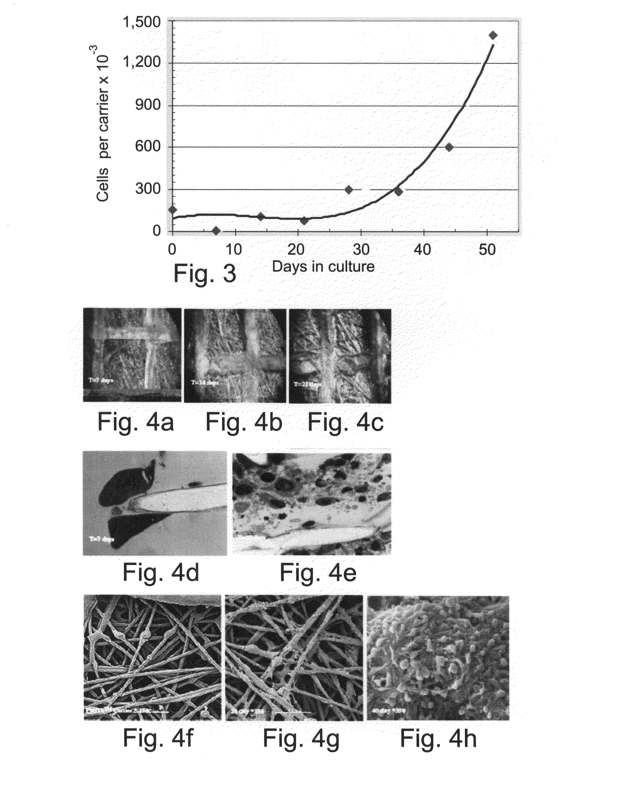 Method and Apparatus for Maintenance and Expansion of Hematopoietic Stem Cells From Mononuclear Cells
