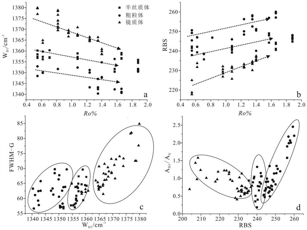 Method for dividing macerals by using Raman spectrum parameters