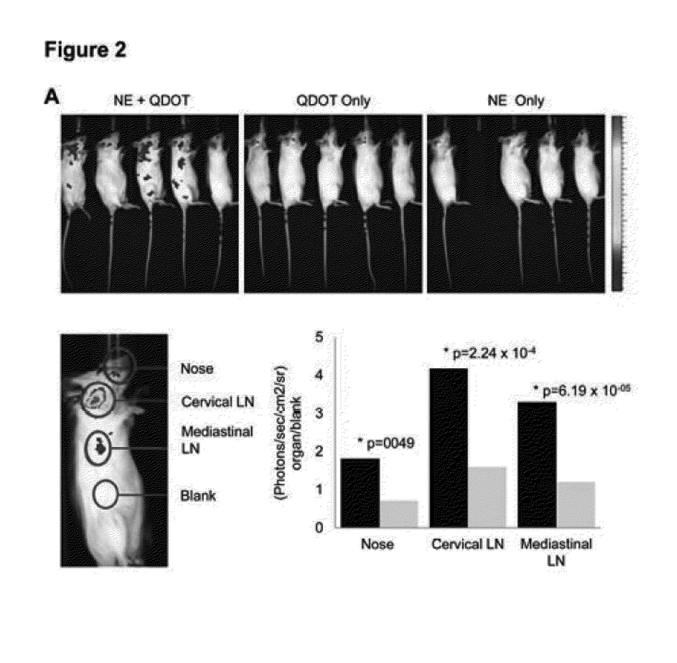 Immunogenic apoptosis inducing compositions and methods of use thereof