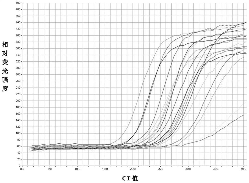 Real-time fluorescent nucleic acid isothermal amplification detection kit for bordetella pertussis as well as special primer and probe thereof