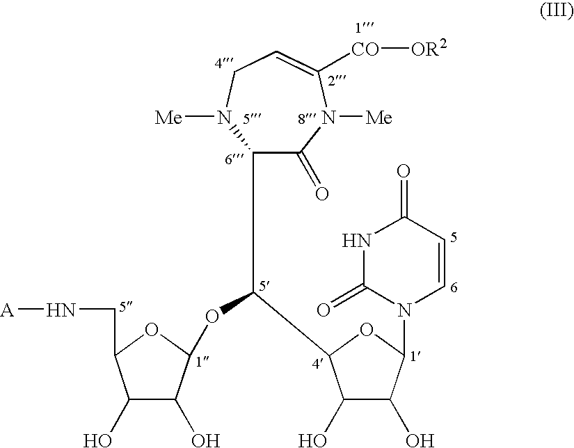 Caprazene as novel compound and derivatives thereof, and caprazol as novel compound and derivatives thereof