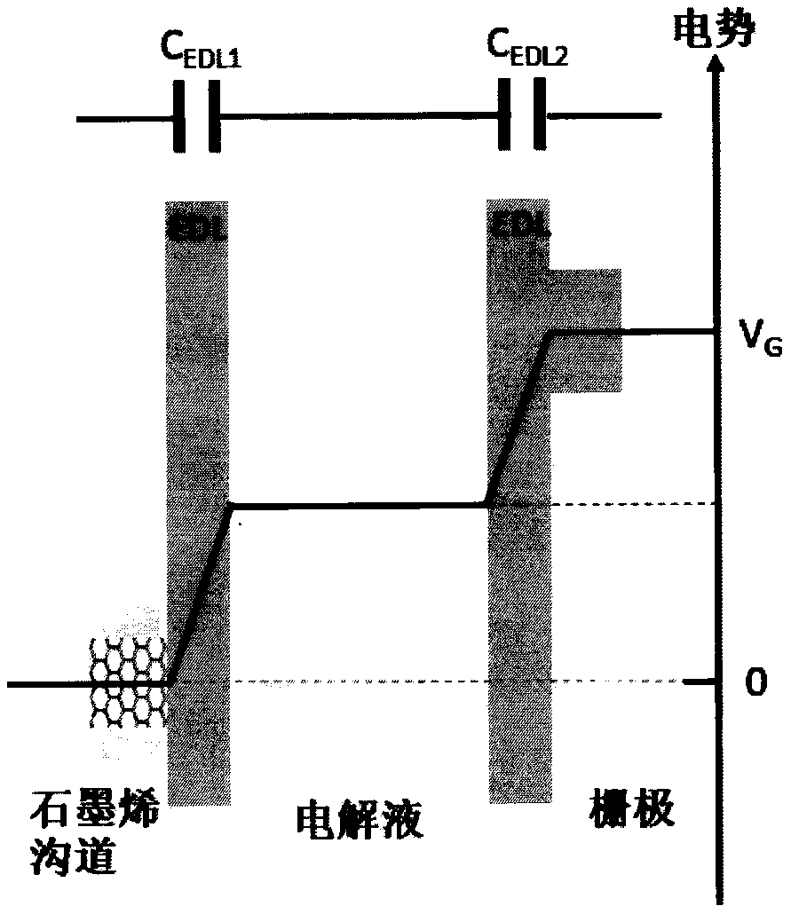 Graphene transistor label-free glucose sensor and preparation method thereof