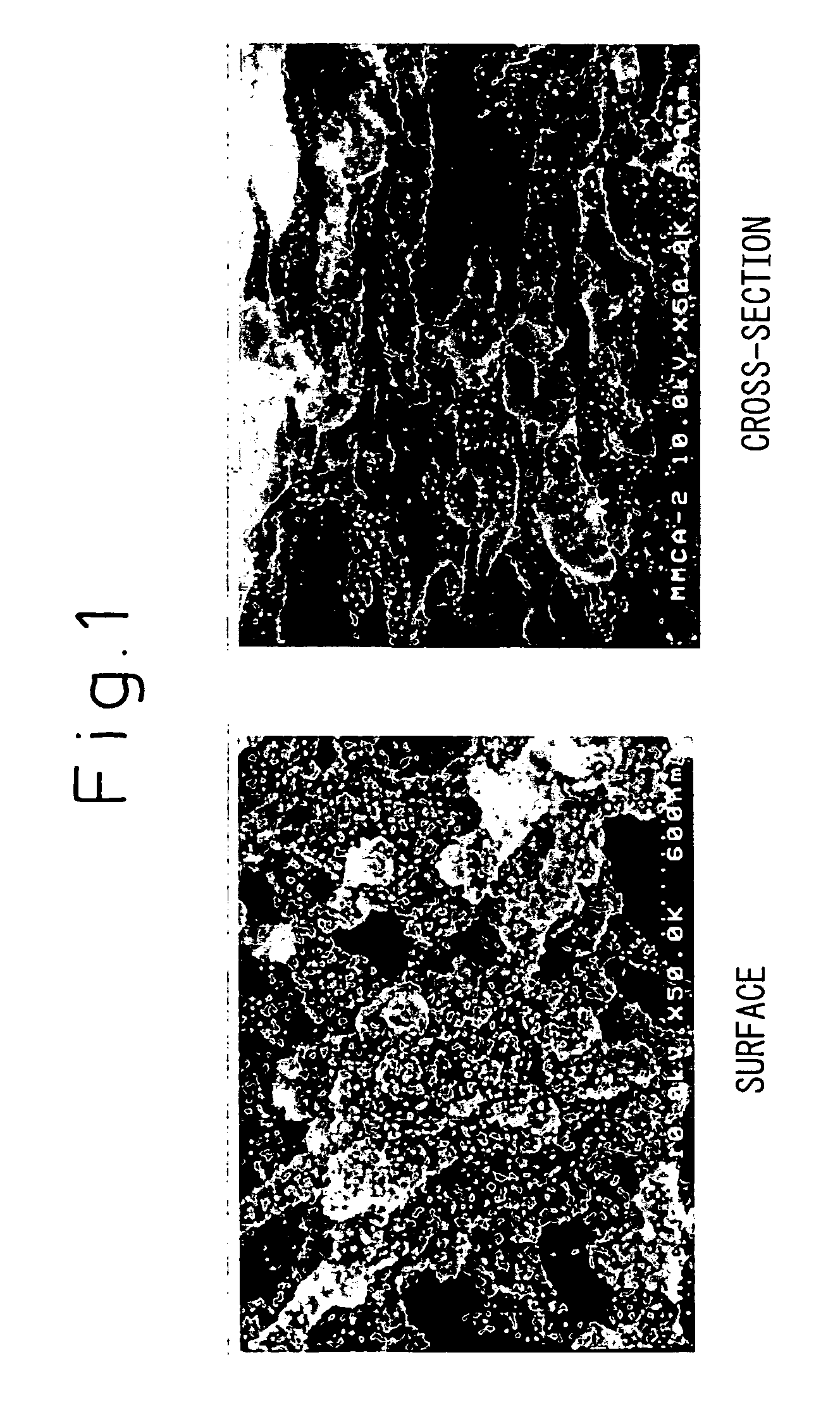 Metal-supported porous carbon film, fuel cell electrode and fuel cell employing the electrode