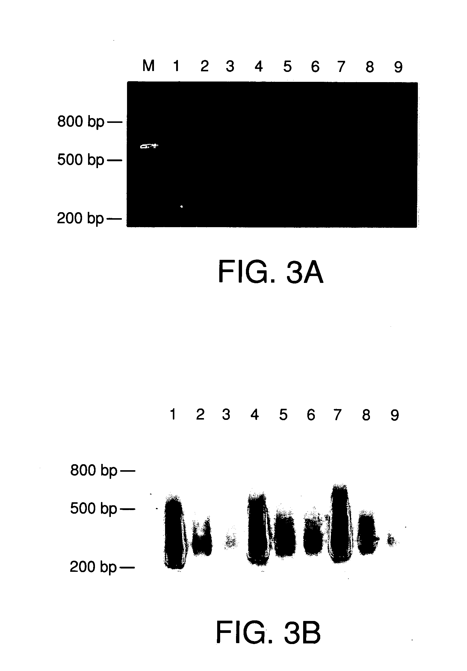 Methods of making repetitive sequences removed probes and uses thereof