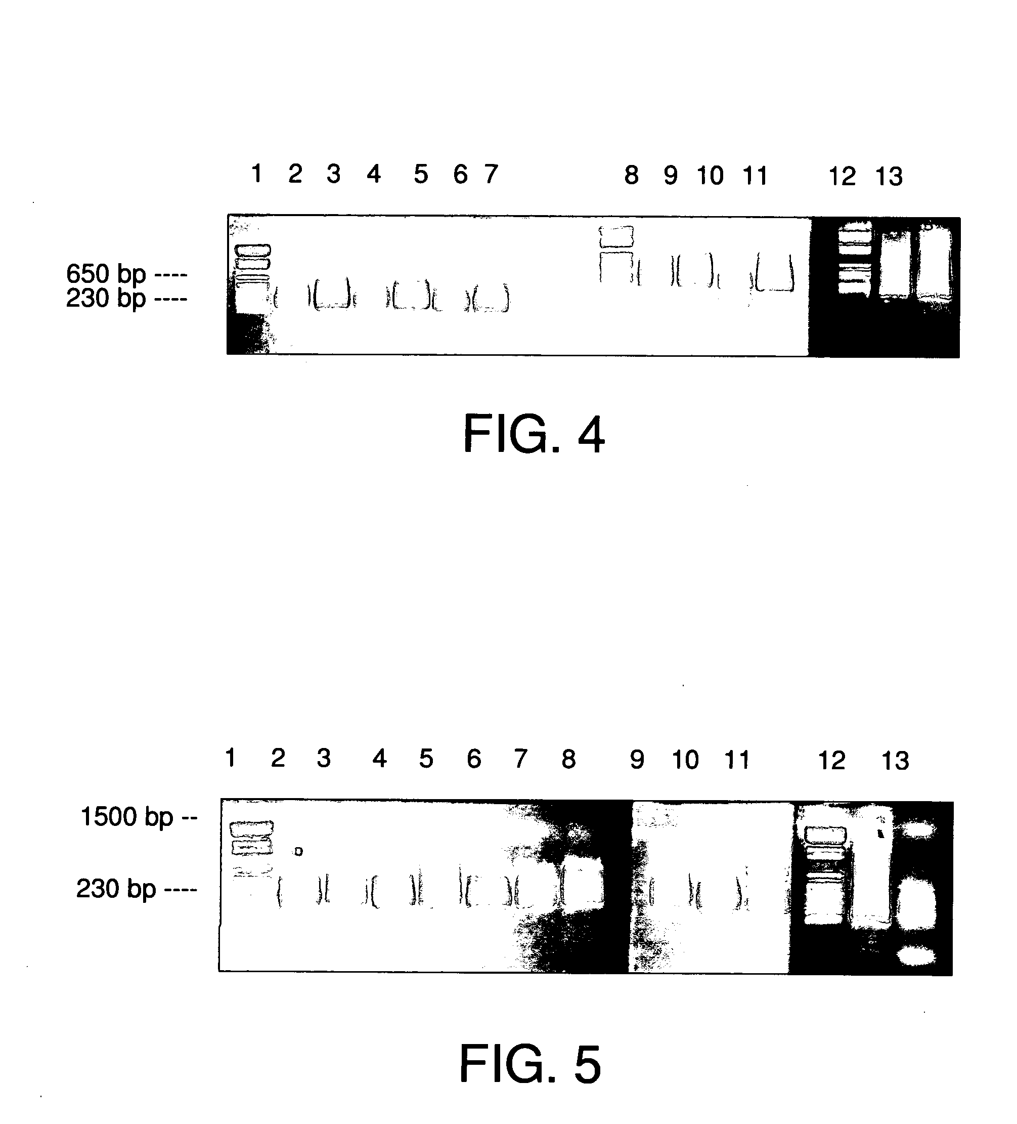 Methods of making repetitive sequences removed probes and uses thereof