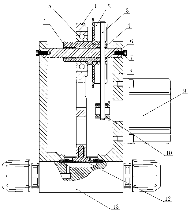 Transmission mechanism of diaphragm of mechanical diaphragm metering pump