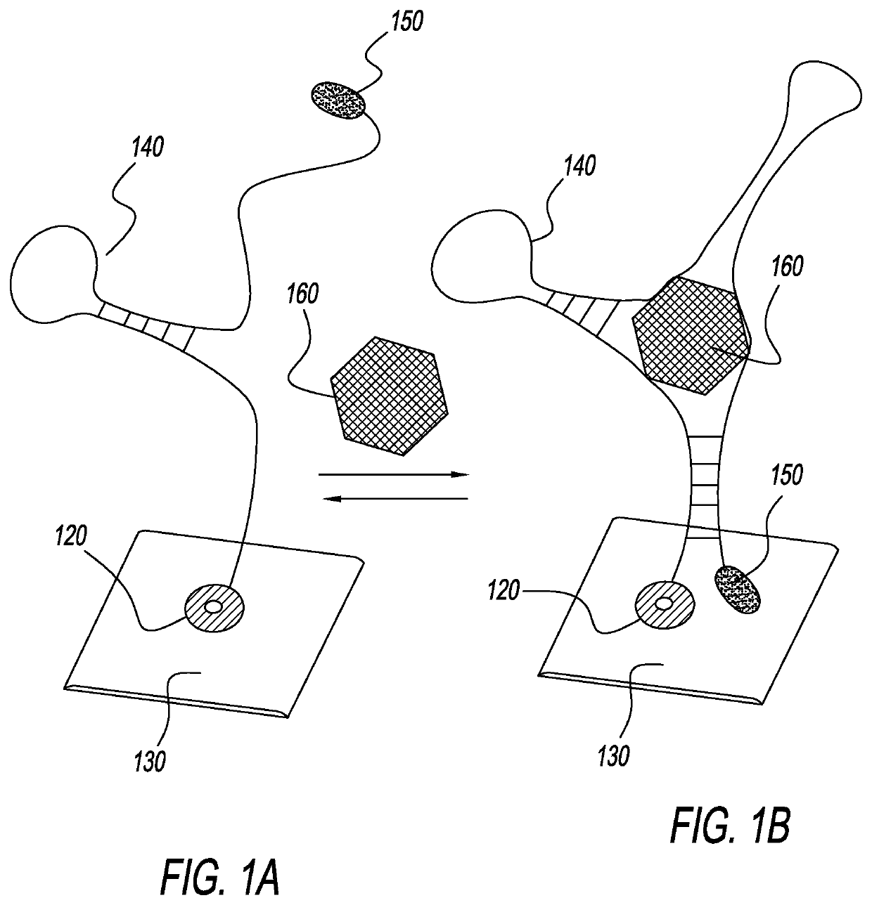 Eab biosensors for detecting sweat analytes