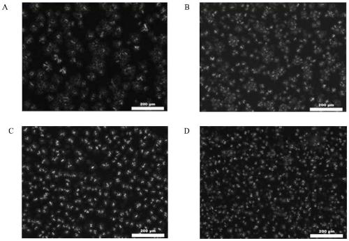 A method for high-strength ultrasonic coupling emulsifier to promote oil crystallization