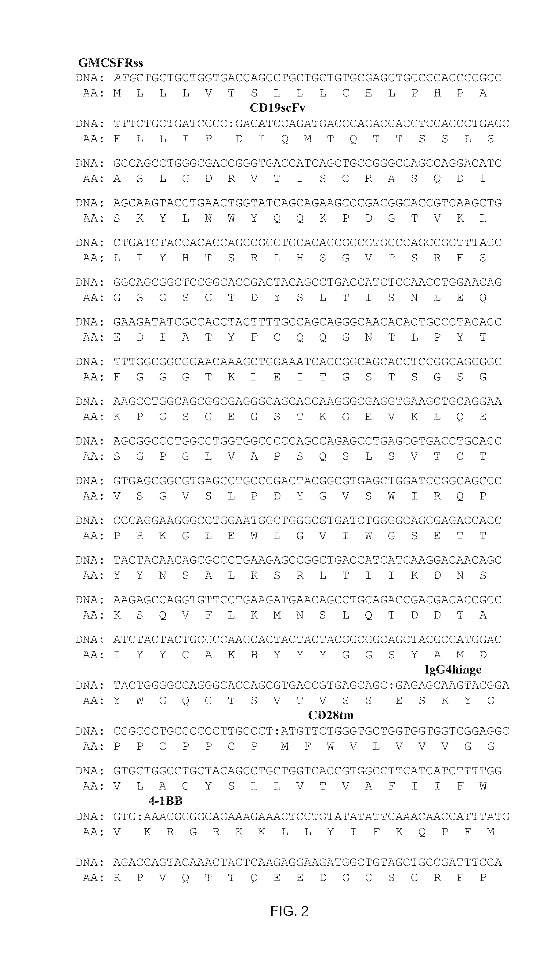 Modified hematopoietic stem/progenitor and non-t effector cells, and uses thereof
