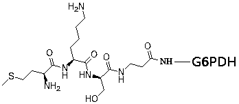 Lipoprotein phospholipase A2 detection reagent and preparation and usage method thereof