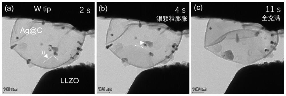 Lithium metal negative electrode of hollow carbon spheres loaded with silver particles and solid-state battery