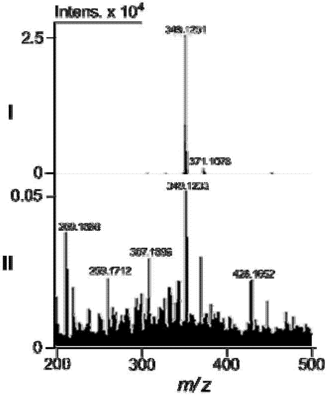 Camptotheca endophytic bacterium LY214 for producing camptothecin and application thereof