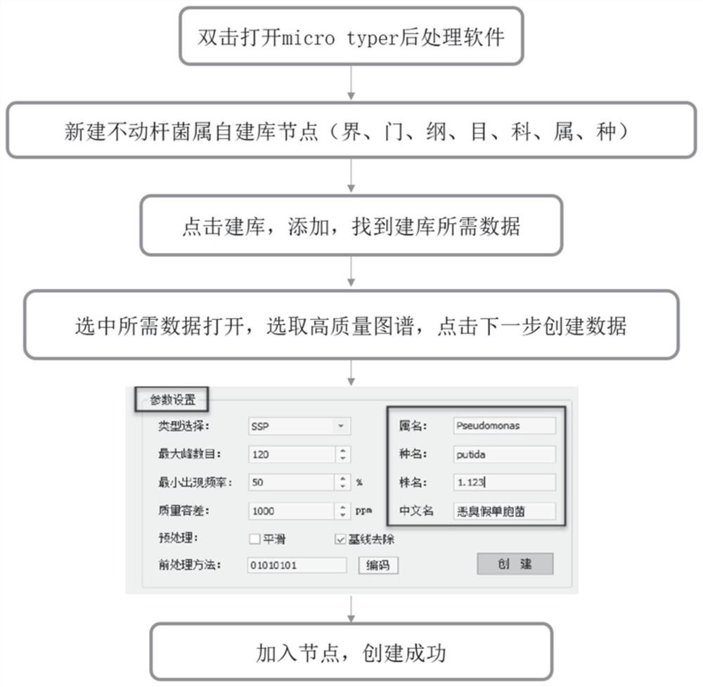 Acinetobacter database construction method based on mass spectrometry and acinetobacter database