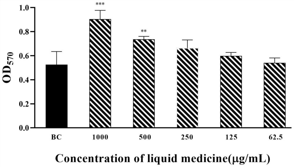 Traditional Chinese medicine compound polysaccharide-silver nano liquid band-aid and preparation method thereof