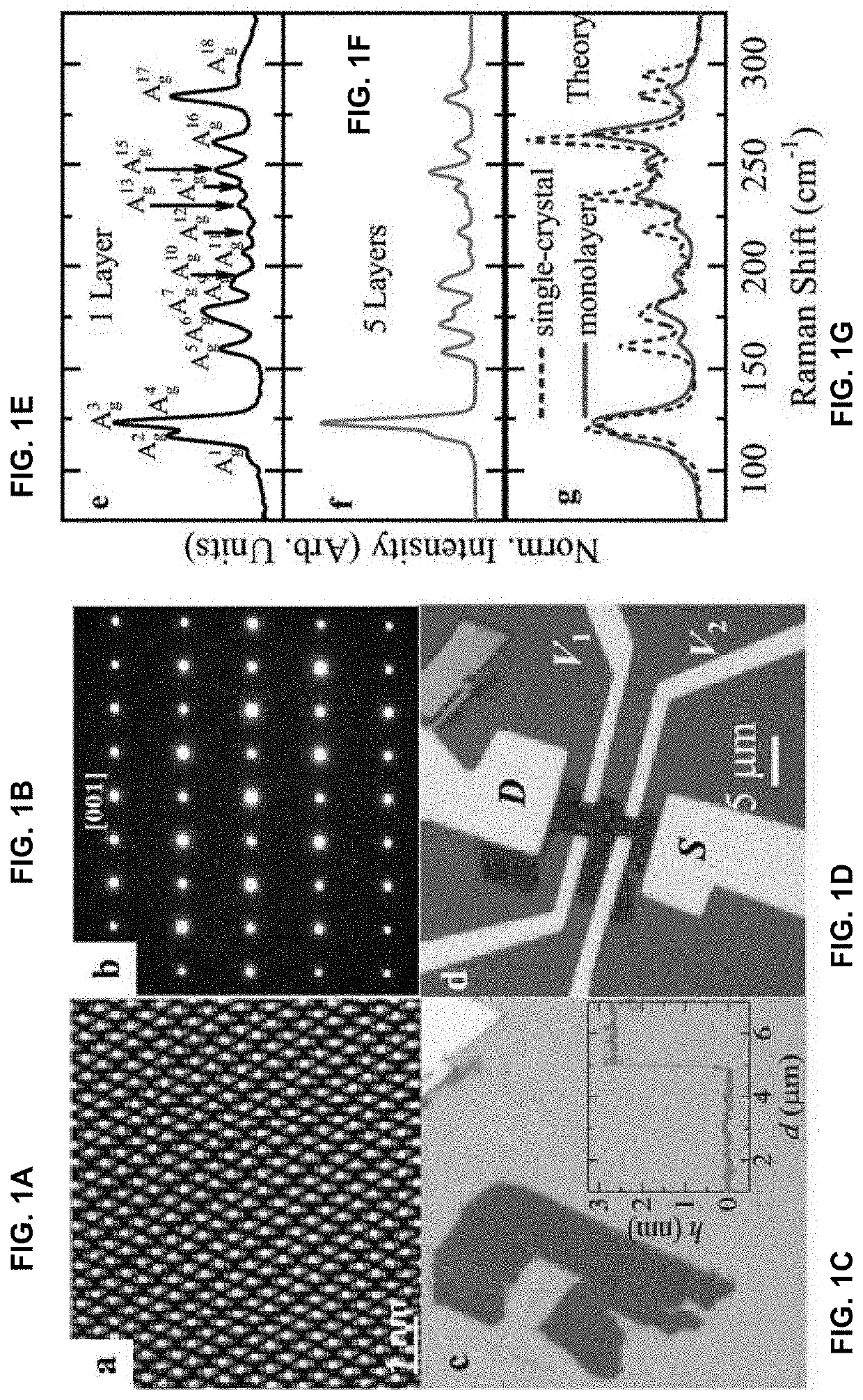 Phase modulators based on ambipolar field-effect transistors