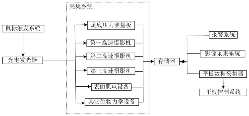 System for synchronously acquiring biomechanical data by mouse