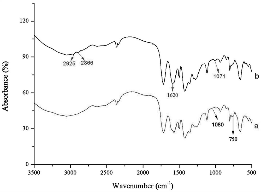 A polymer monolithic column for on-line enrichment and purification of ursolic acid and a method for on-line enrichment and purification of ursolic acid