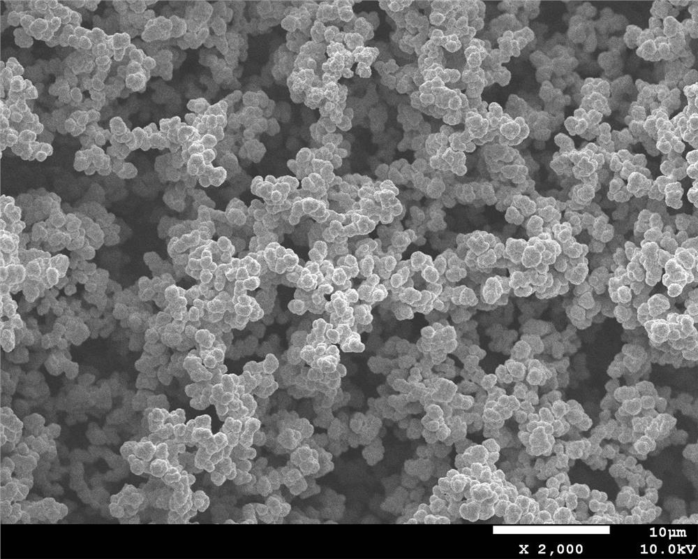 A polymer monolithic column for on-line enrichment and purification of ursolic acid and a method for on-line enrichment and purification of ursolic acid