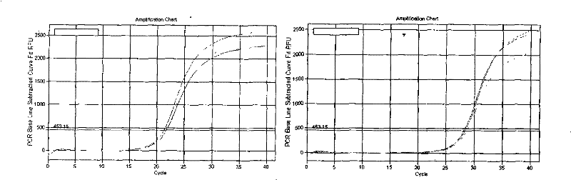 Oligonucleotide and uses thereof