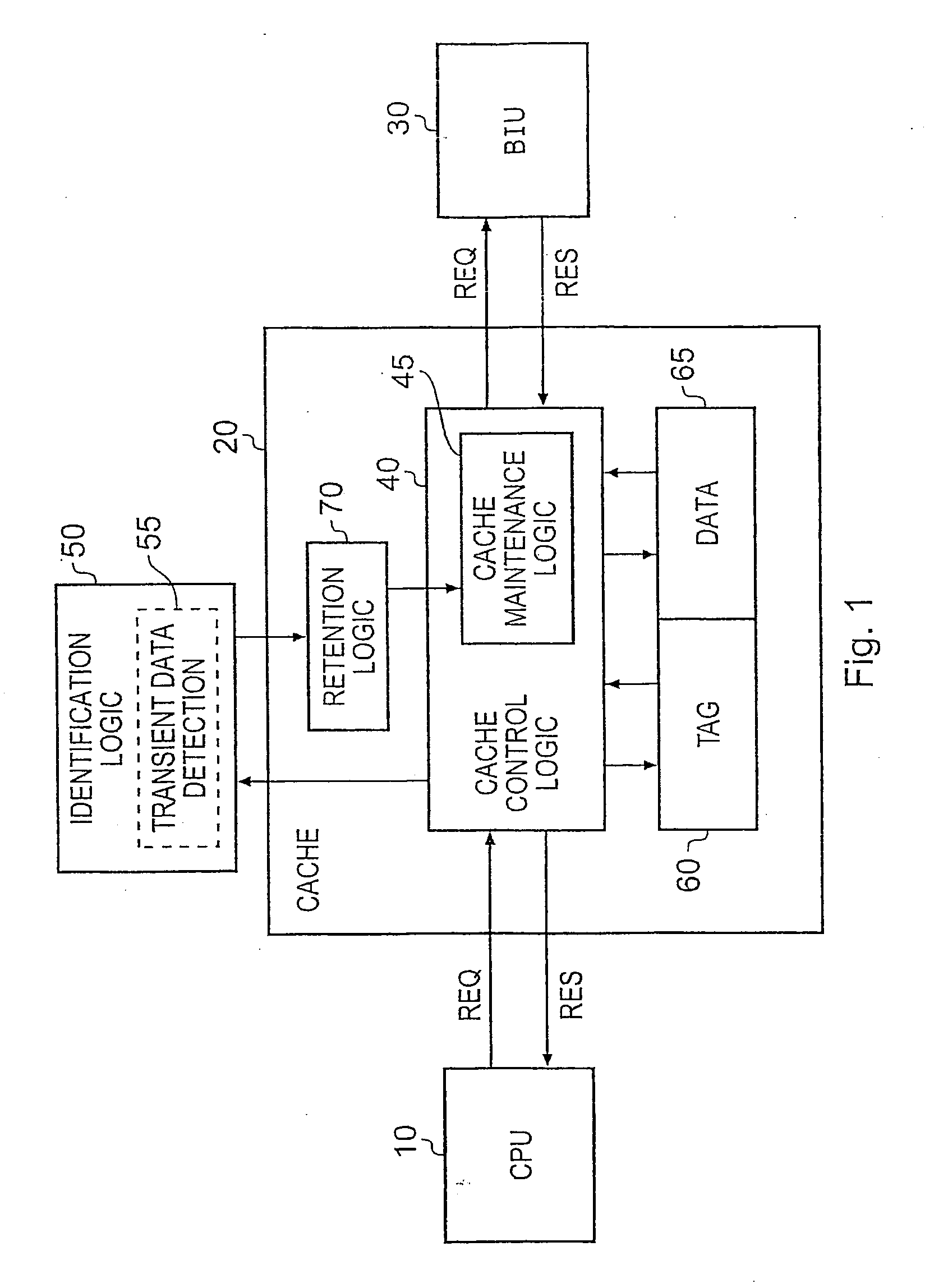 Cache Management Within A Data Processing Apparatus