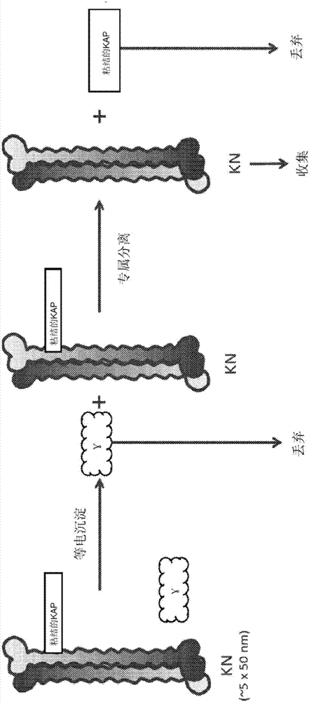 Keratin nanomaterials and methods of production