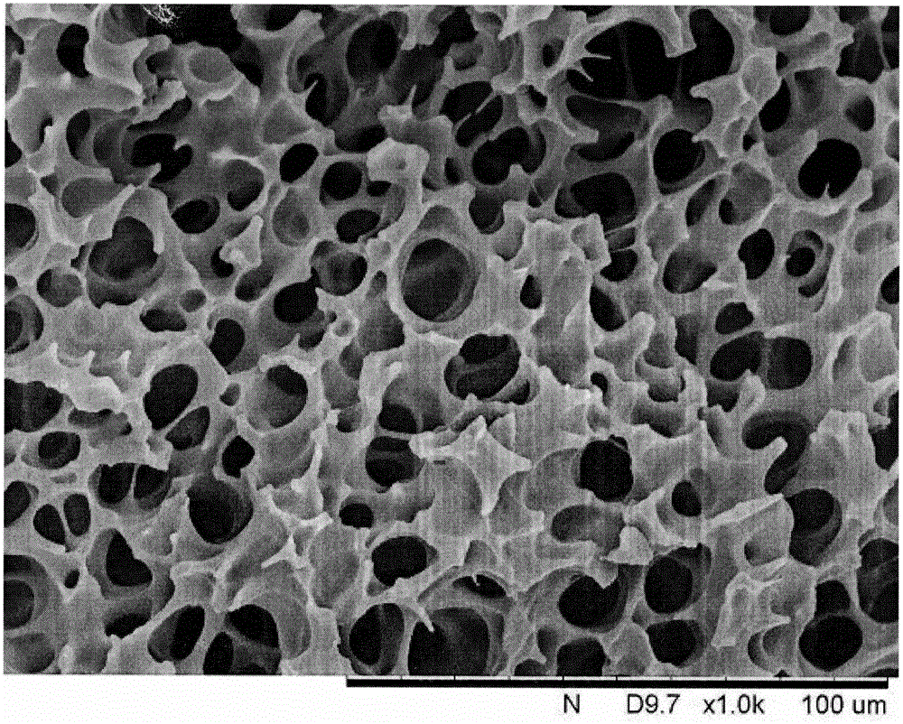 Linear low-density polyethylene/carbon nanotube open-cell foam material and method for preparing same