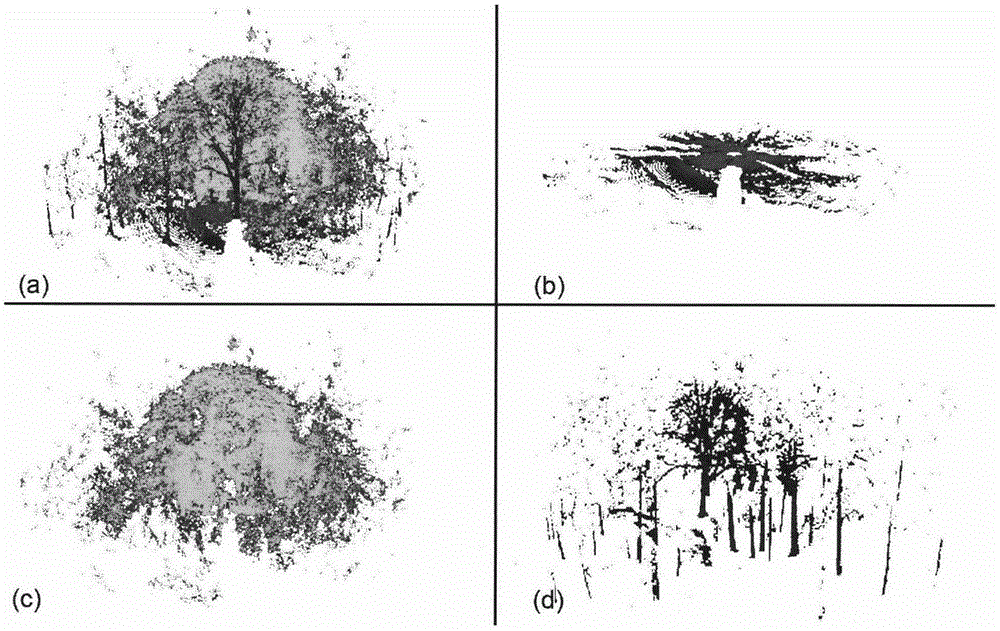 Method for estimating forest leaf-area index based on point cloud hemisphere slice