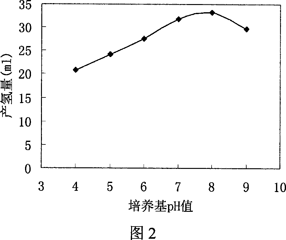 Method for producing hydrogen by using marsh red pseudomonas