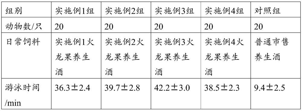 Fungal symbiotic fermentation anti-fatigue dragon fruit health wine and preparation method thereof