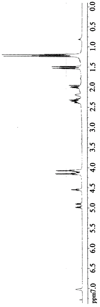 Imino acid PET imaging agent, and preparation method and application thereof