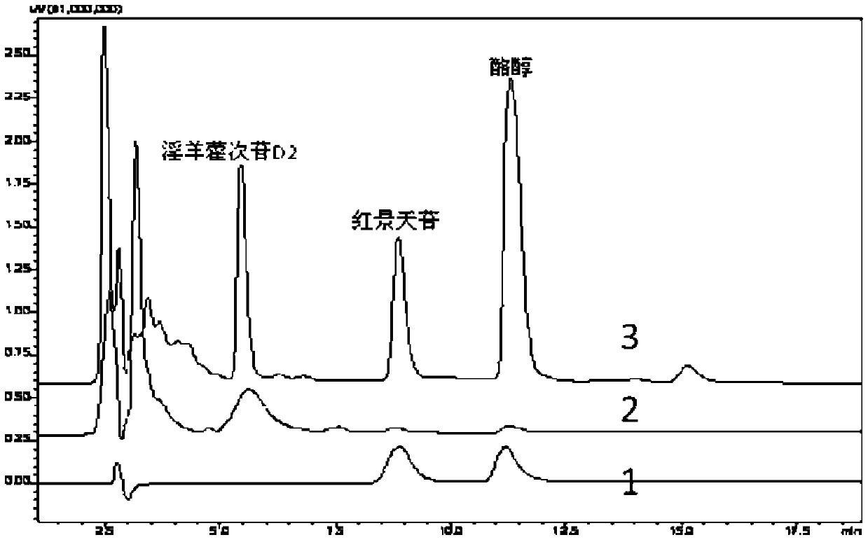 A kind of recombinant Escherichia coli producing salidroside and its construction method and application