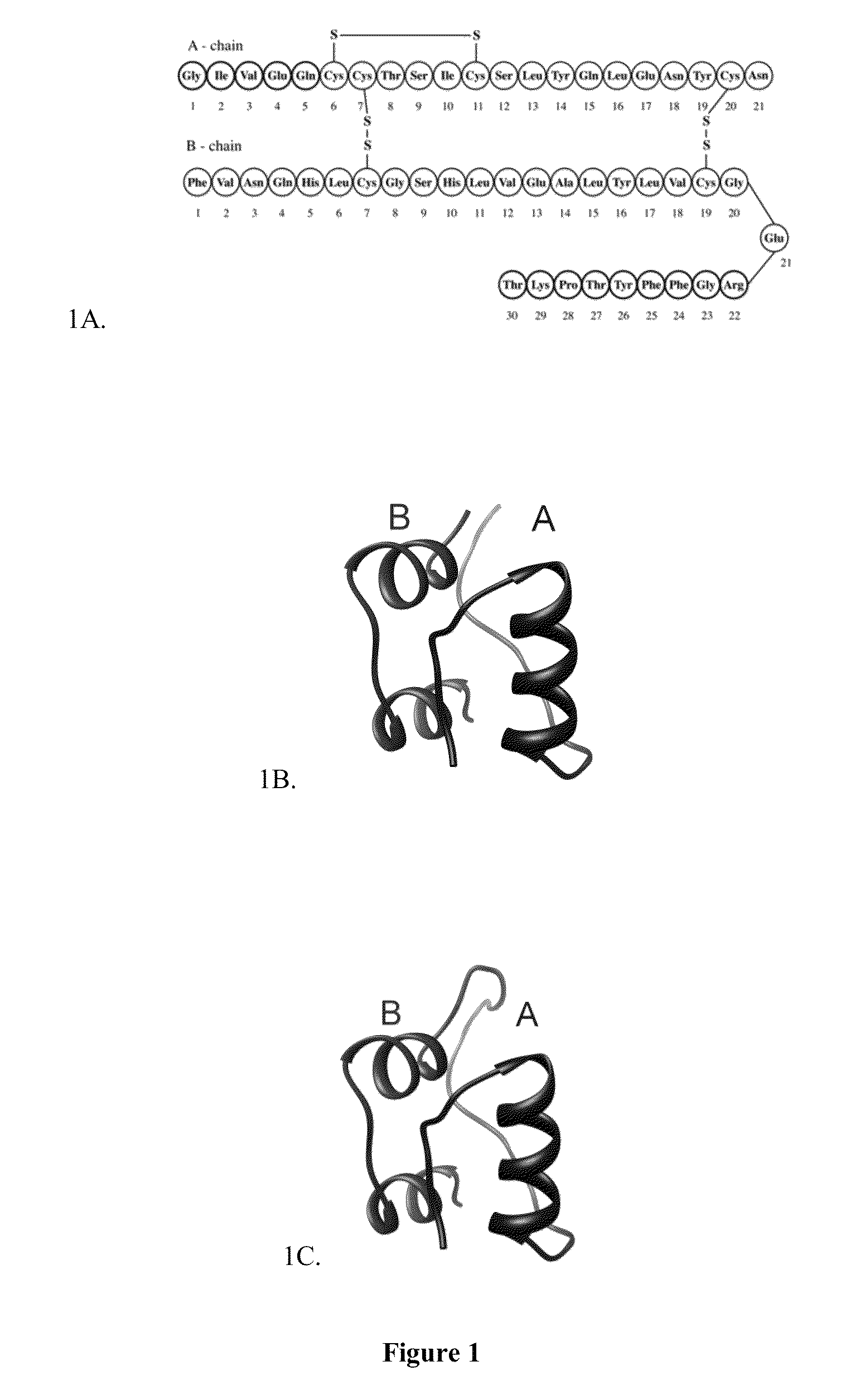 Chemically and thermodynamically stable insulin analogues and improved methods for their production