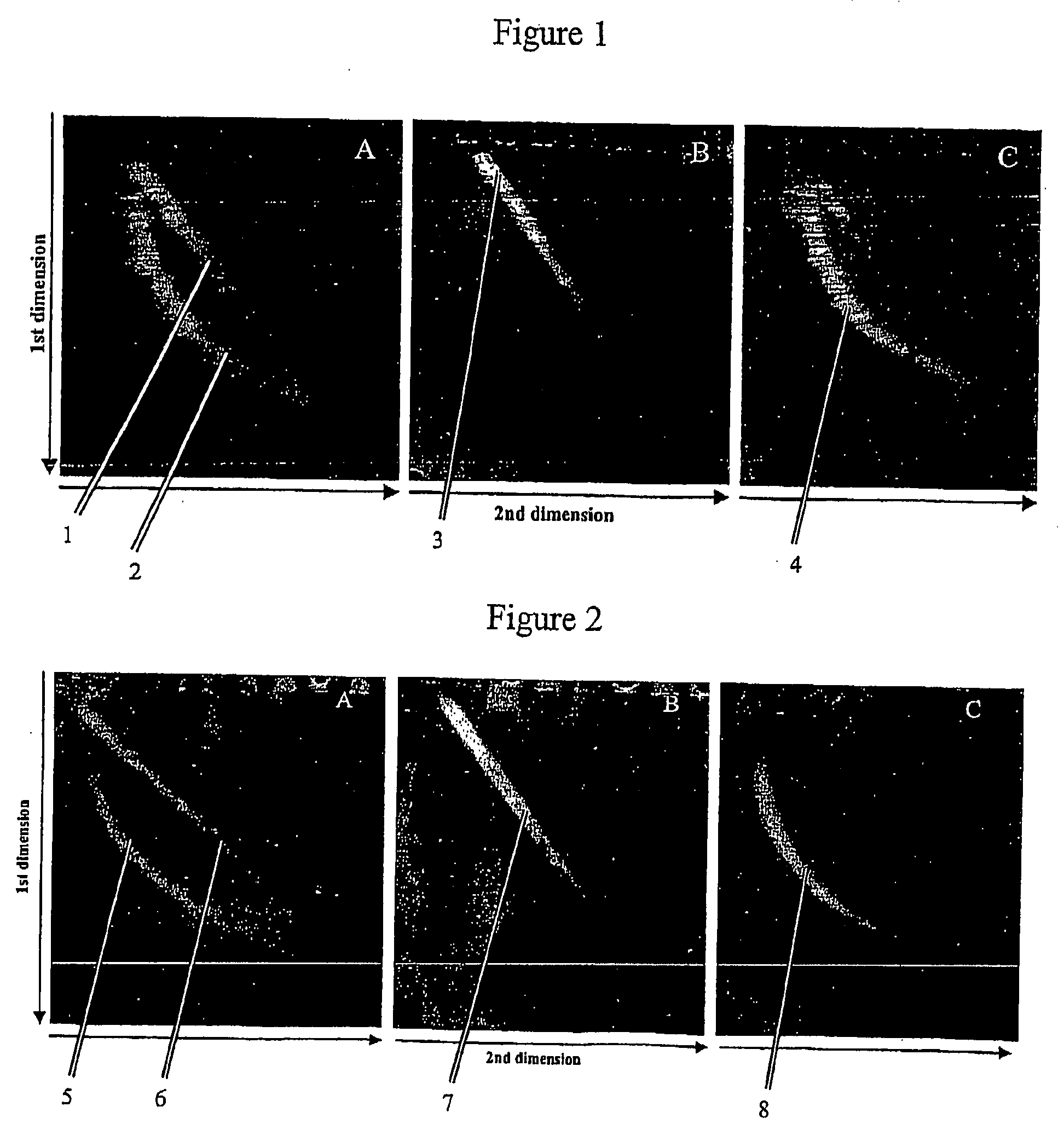 Two-dimensional strandness-and length-dependent separation of nucleic acid fragments