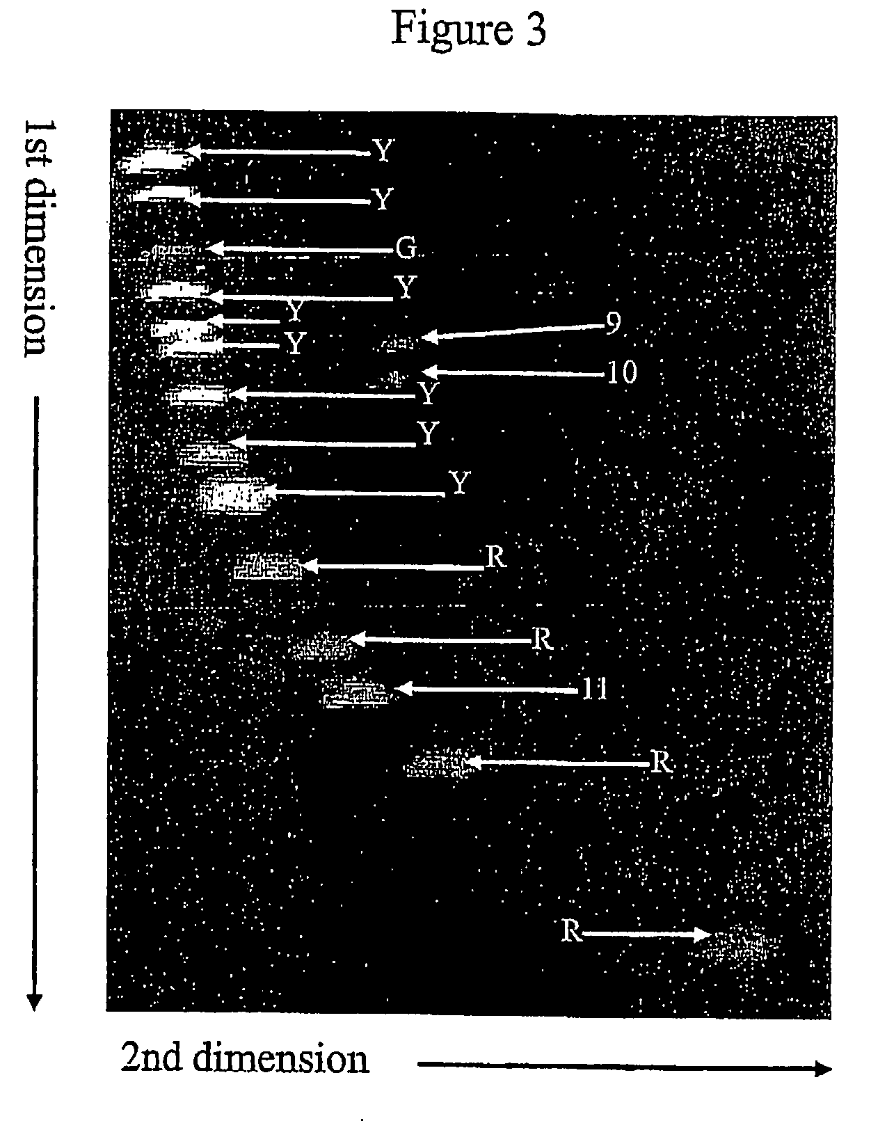 Two-dimensional strandness-and length-dependent separation of nucleic acid fragments