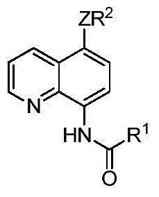 5-substituted sulfur etherified/selenium etherified/tellurium etherified quinoline compound and preparation method therefor