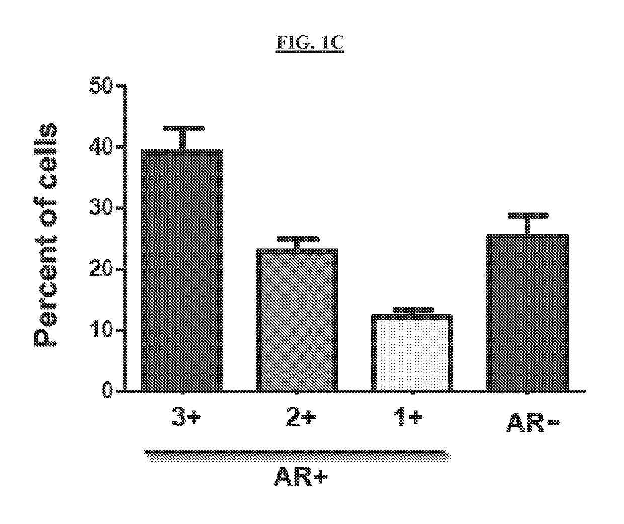 Method of treating androgen receptor negative prostate tumors and their metastases