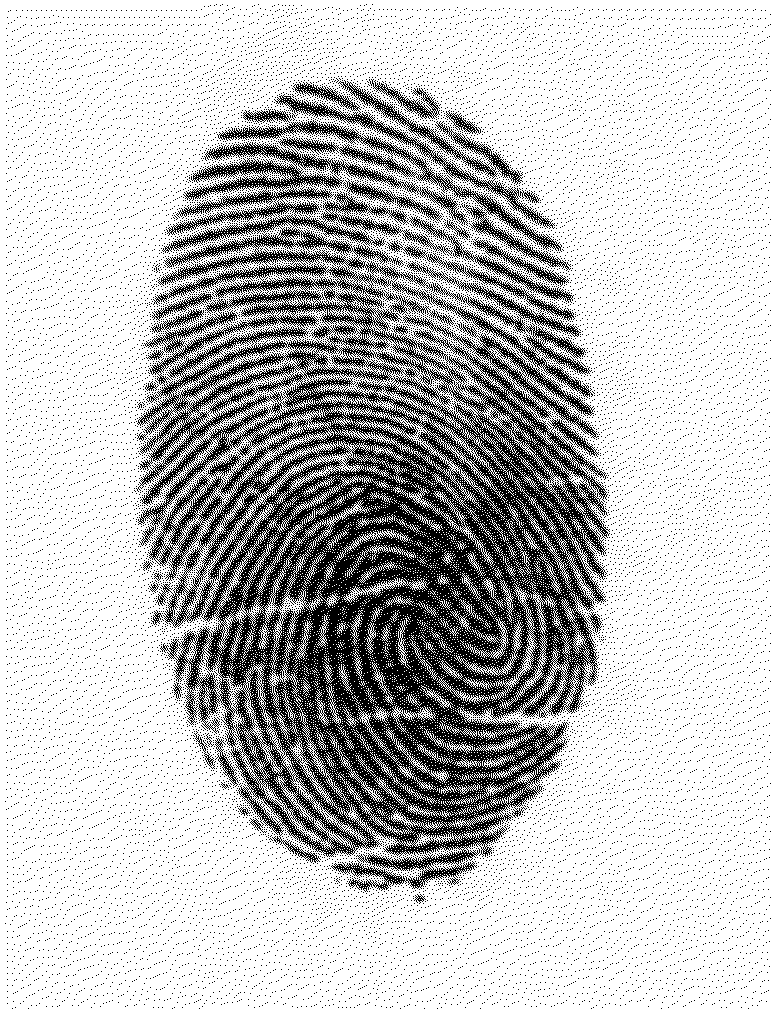 Systems and methods for ridge-based fingerprint analysis