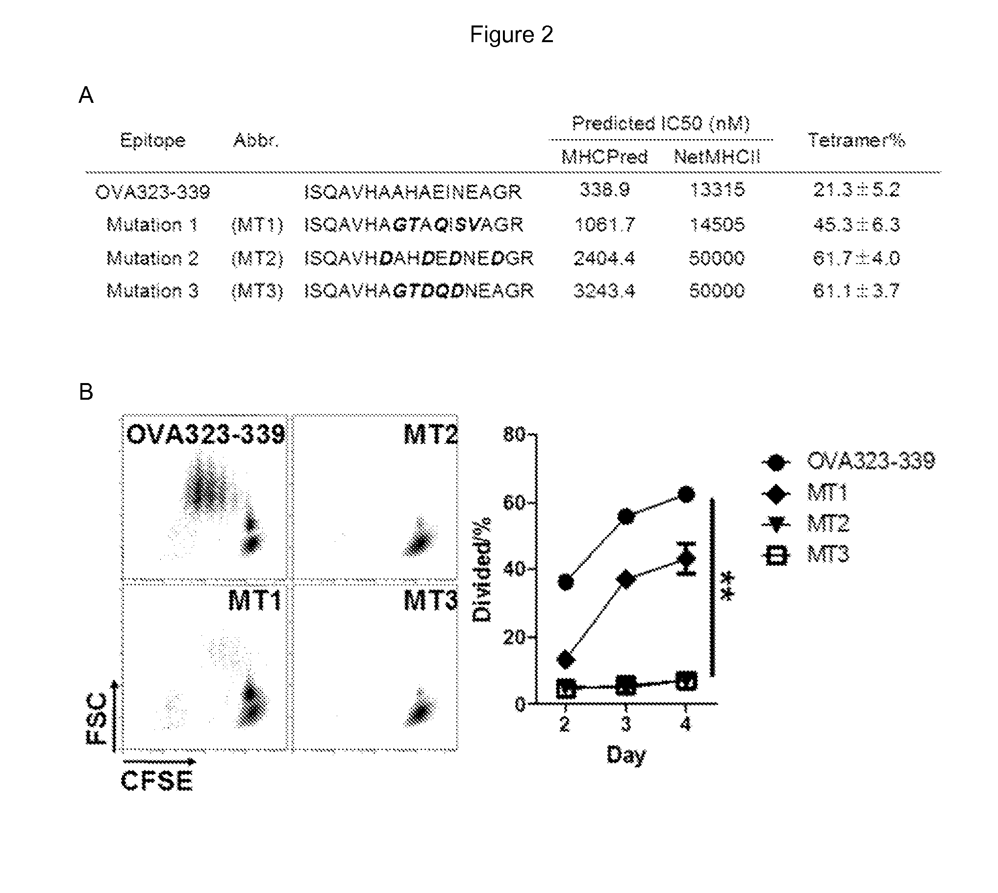 Combined facilitator, antigen and DNA vaccine for preventing and treating autoimmune diseases