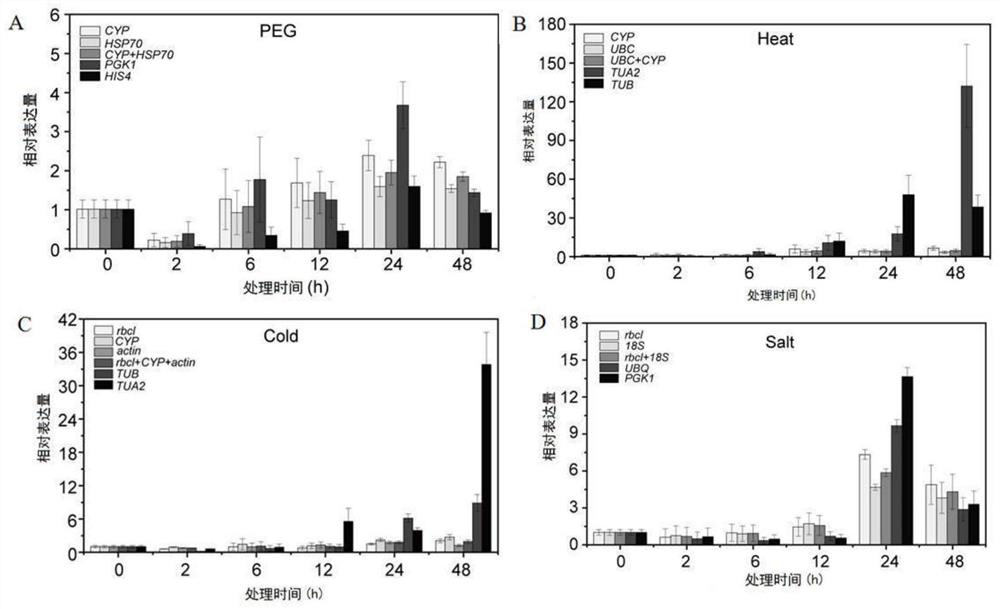 Cryptomeria fortunei fluorescent quantitative internal reference gene under abiotic stress and special primer and application thereof