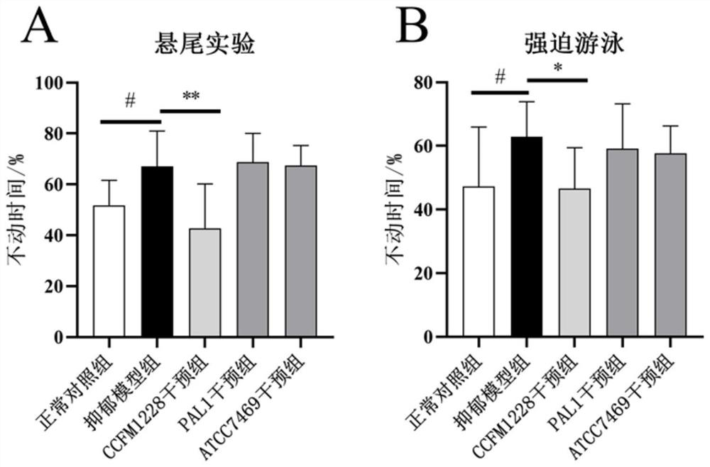 Lactobacillus rhamnosus CCFM1228 with functions of relieving depressive emotion and promoting intestinal tract to secrete IgA (Immunoglobulin A) and application of lactobacillus rhamnosus CCFM1228