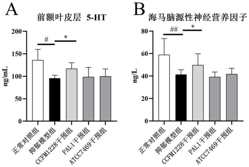 Lactobacillus rhamnosus CCFM1228 with functions of relieving depressive emotion and promoting intestinal tract to secrete IgA (Immunoglobulin A) and application of lactobacillus rhamnosus CCFM1228