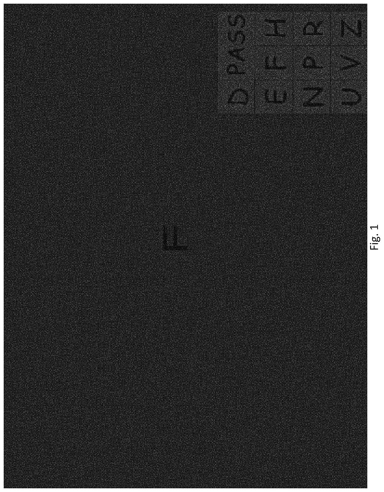 Method and apparatus for administering a low luminance visual dysfunction test