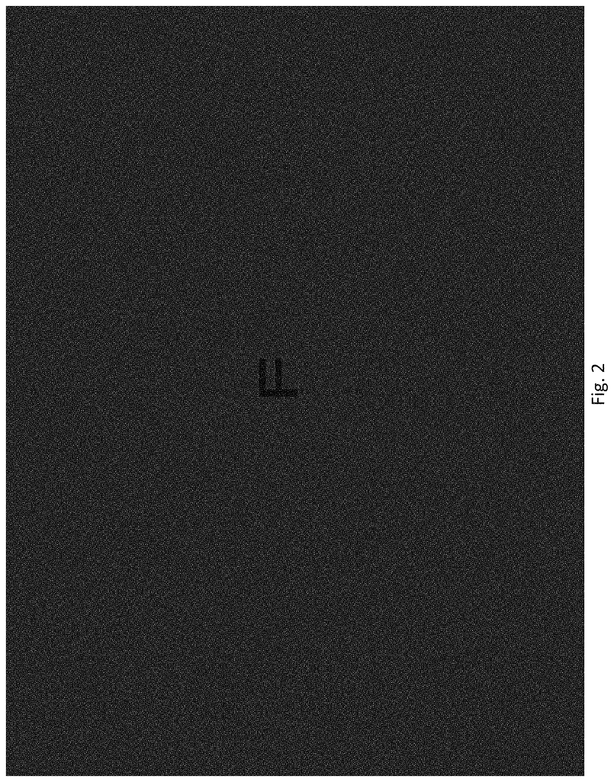 Method and apparatus for administering a low luminance visual dysfunction test