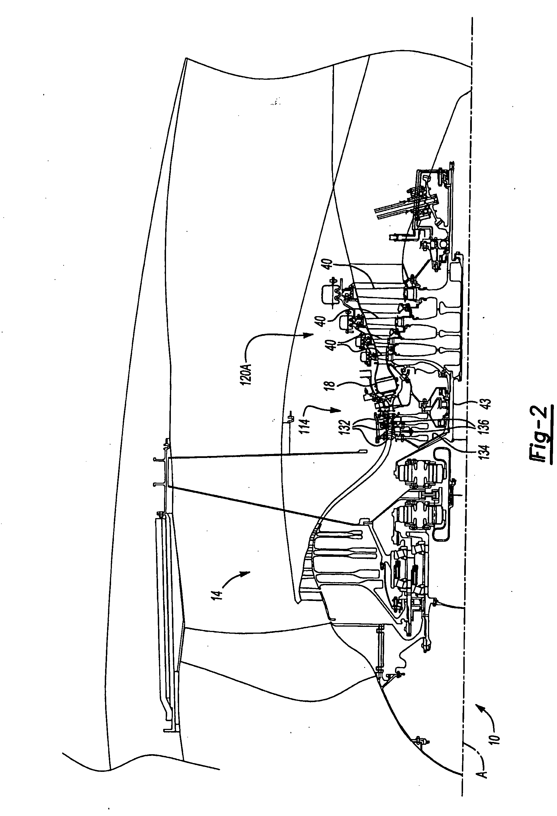 Turbine engine with differential gear driven fan and compressor